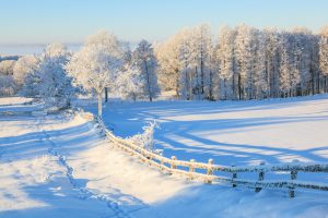 Snowy fence in winter landscape